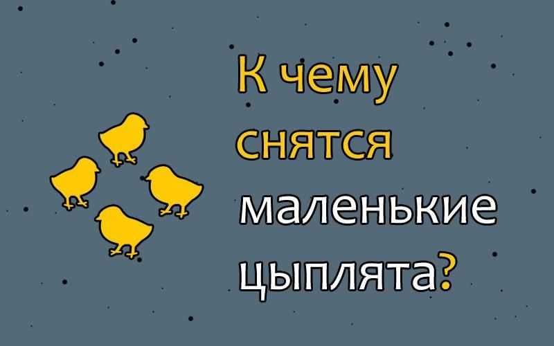 К чему снятся куры женщине. сонники про куриц во сне женщины