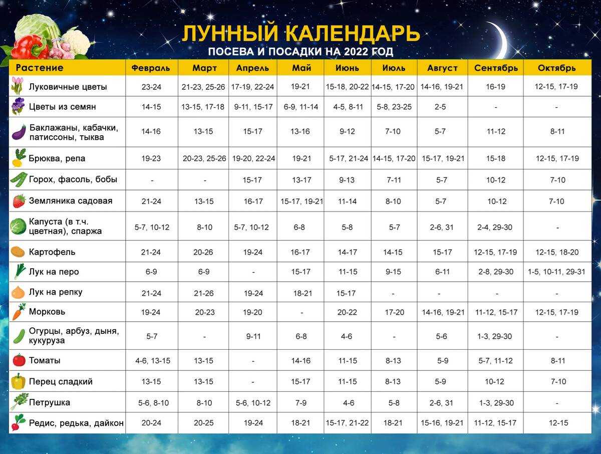 Лунный календарь: ноябрь 2024