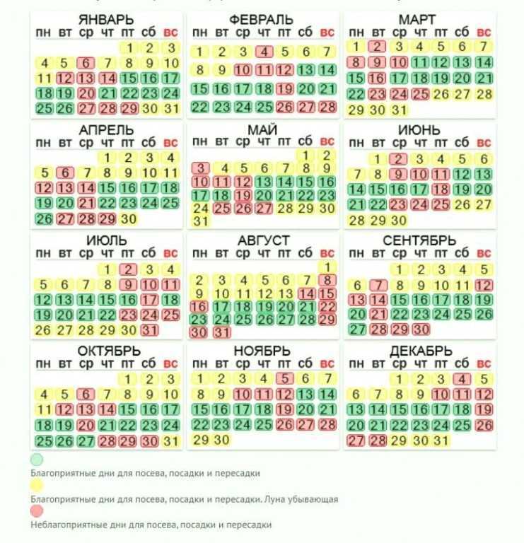 Лунный календарь стрижки волос по дням на сентябрь 2023 :: инфониак