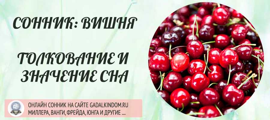 К чему снится желтая или красная черешня женщине и мужчине?
к чему снится желтая или красная черешня женщине и мужчине?