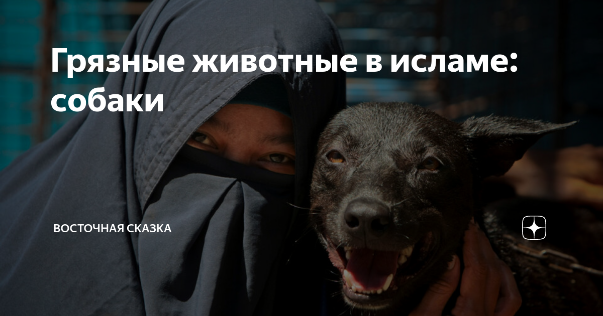 Исламский сонник видеть собаку || к чему снится собака мусульманский сонник | сонник