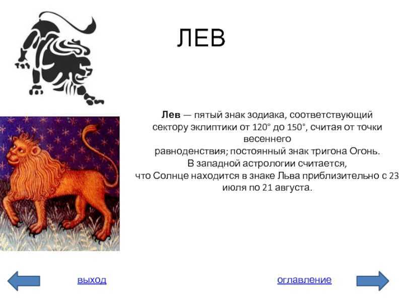 Все о знаке лев: самые интересные факты, которые вы должны знать о нем