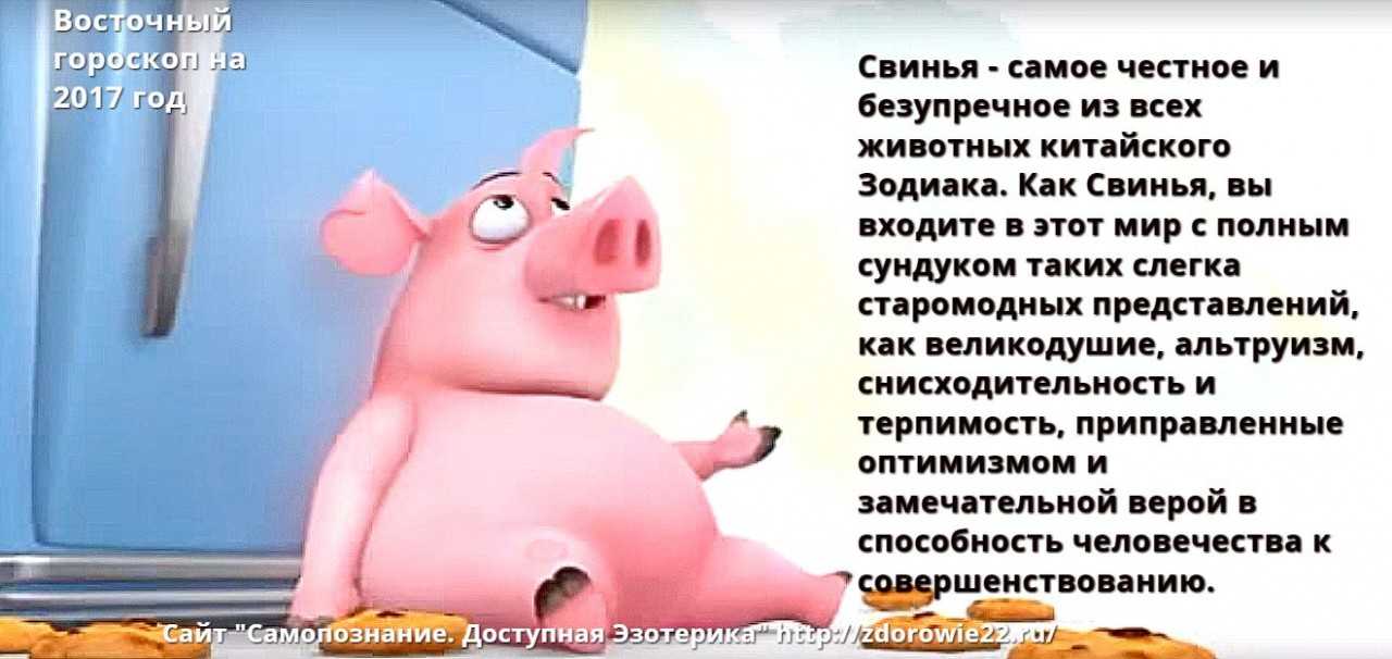 Год свиньи(кабана) какие годы?год свиньи характеристика и гороскоп