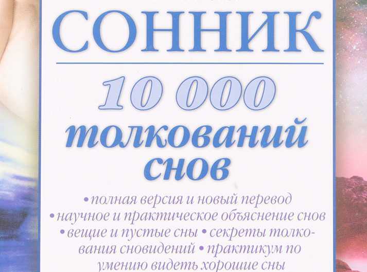 К чему снится накормить бомжа. воображение или знак судьбы? сонник дмитрия и надежды зимы