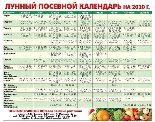 Лунный календарь — мир космоса