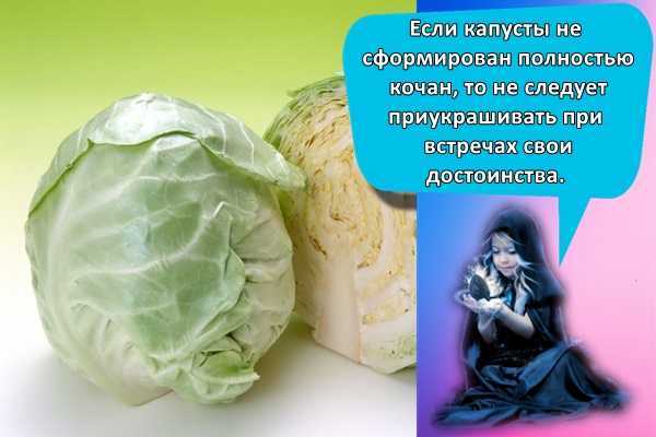К чему снится седина: что говорят сонники миллера, ванги, фрейда. толкование снов о седых волосах у себя или других людей - автор екатерина данилова - журнал женское мнение