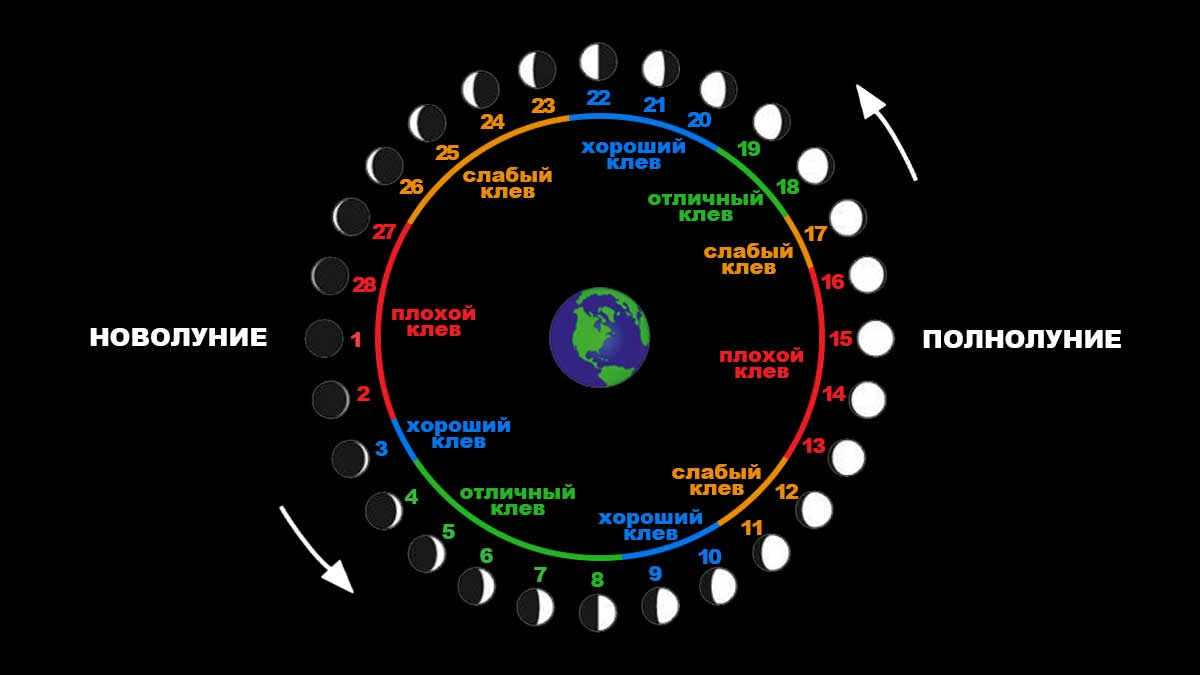 Лунный календарь на 2024 год