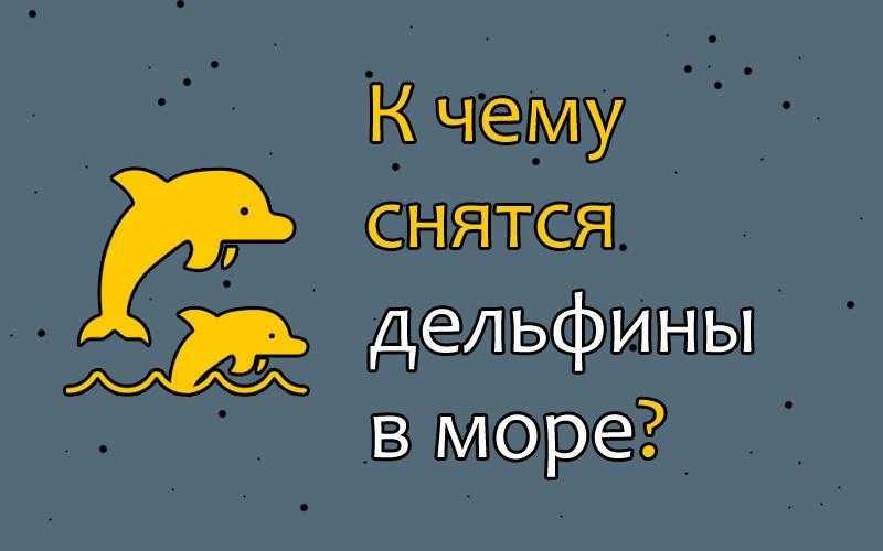 К чему снятся дельфины в море девушкам или парням: плавать с ними, видеть с китами и другие варианты сна