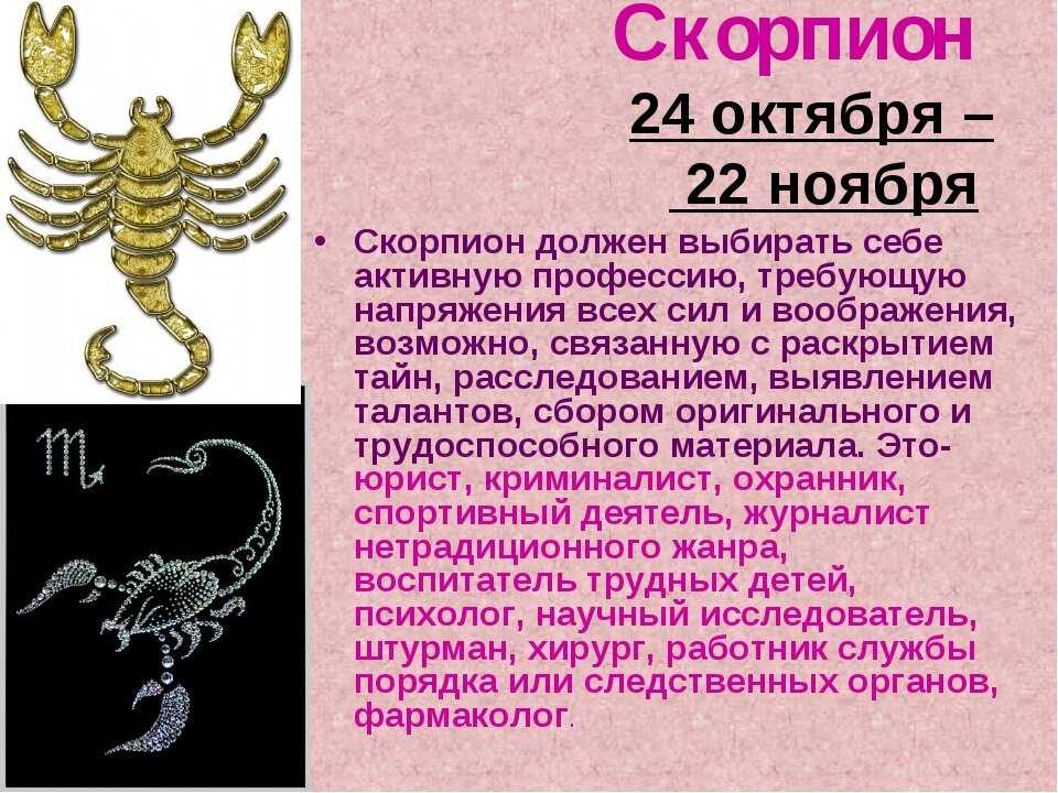 Ребенок-скорпион: отличительные черты и правильный подход