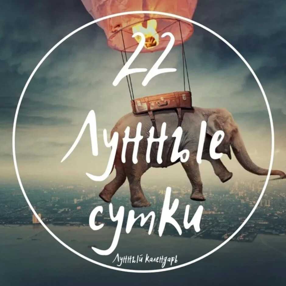 2 лунный день
