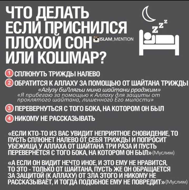 Собака пытается укусить во сне: значение и толкование, чего ожидать и что предвещает - tolksnov.ru