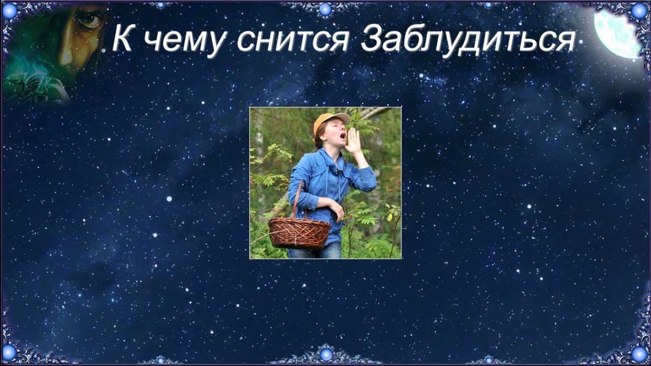 К чему снится заблудиться во сне: потеряться в лесу, городе или незнакомом здании по соннику