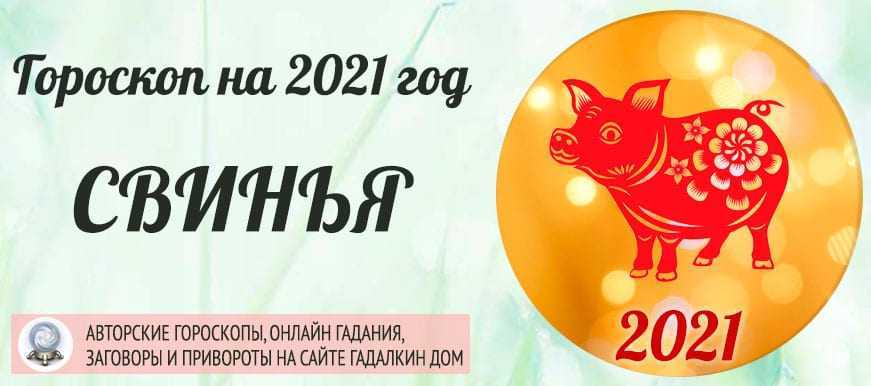 Восточный гороскоп на 2024 год: свинья
