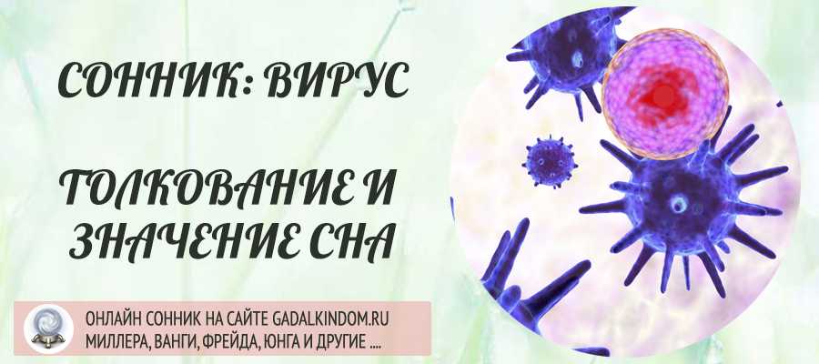 К чему снится эпидемия во сне – 18 значений из популярных сонников