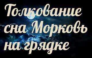 К чему снится морковь свежая женщине