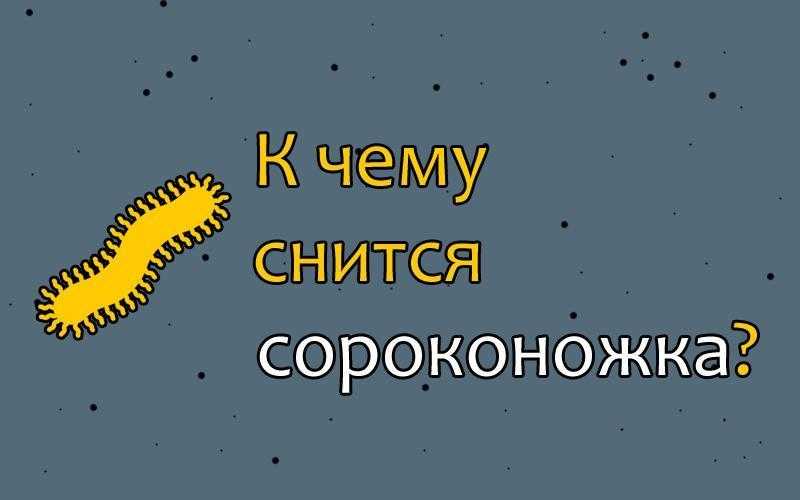К чему может сниться много гусениц - жирных, больших и зеленых; толкования для женщин и мужчин