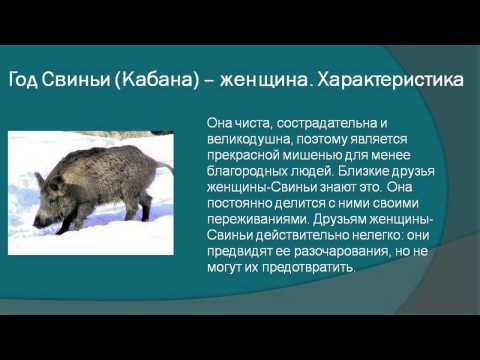 1983 год какое животное по восточному календарю? характеристика, сочетание с знаками зодиака, совместимость и талисманы на удачу