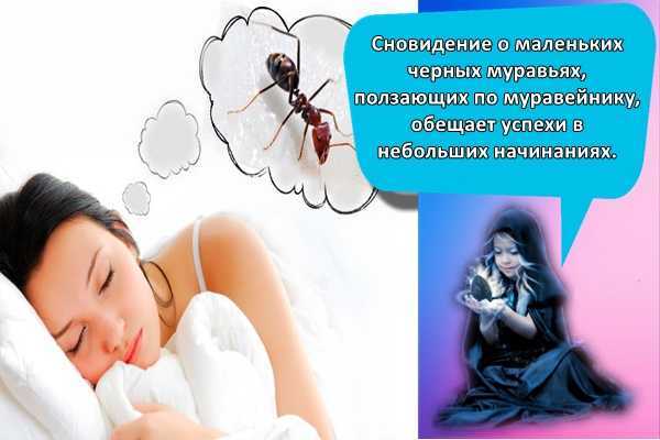 Как расшифровать сон о бабочках — 47 точных значений