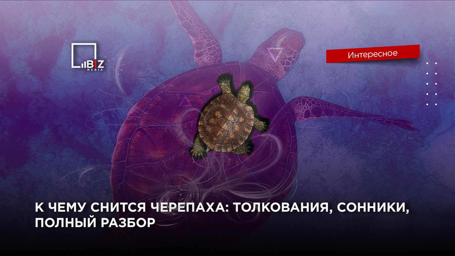 Сонник череп | гороскопы 365
