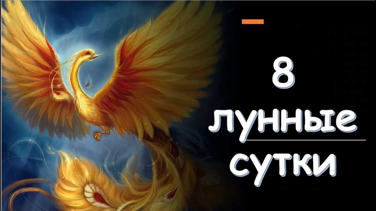 8-й лунный день - характеристика лунного дня и рекомендации