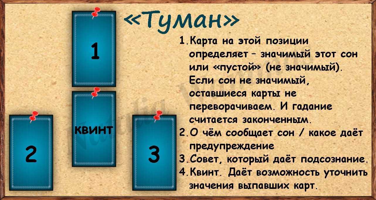 К чему снится черная крыса: значение и толкование сна