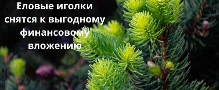 К чему снится иголка во сне?