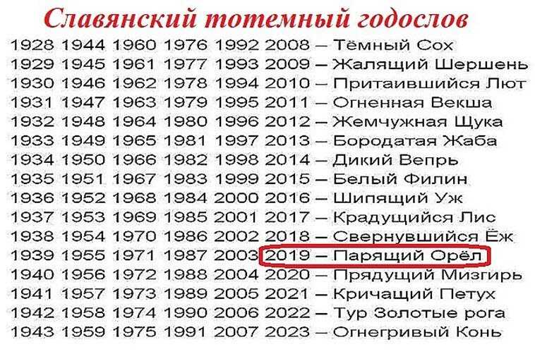 2019 год кого?2019 год какого животного по восточному календарю?