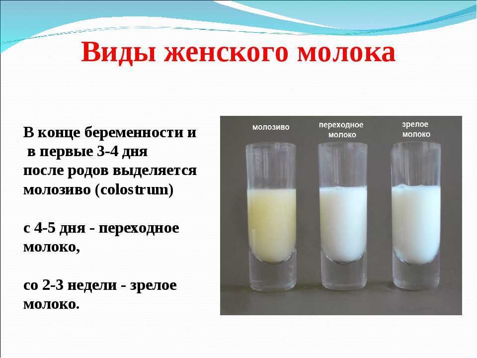 К чему снится молозиво женщине
