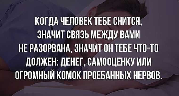 К чему снится собака: о чем нас хочет предупредить во сне четверолапый друг?  / к чему снится? / журнал calend.ru