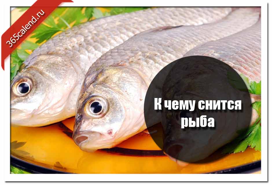 К чему снится живая рыба женщине, мужчине: толкование по сонникам