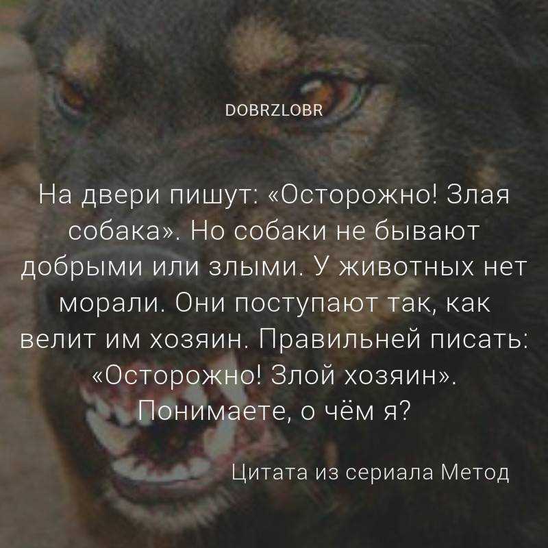 Исламский сонник: толкование снов по священному корану - tolksnov.ru