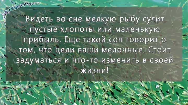 К чему снится ловить рыбу? толкование по 45 сонникам