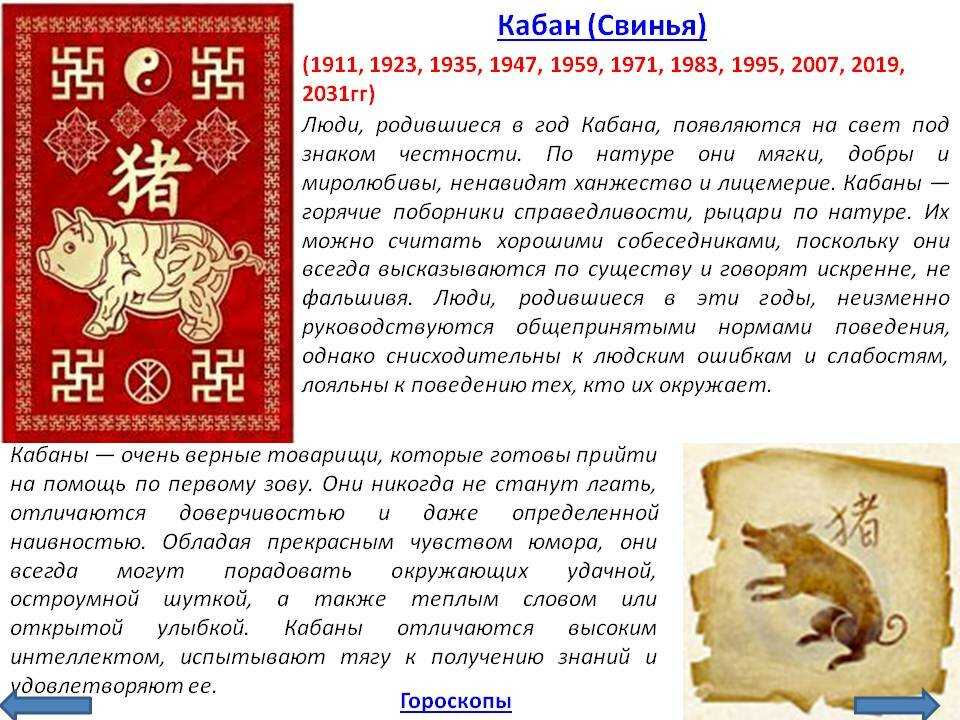 Год свиньи: какие года рождения, характеристика знака