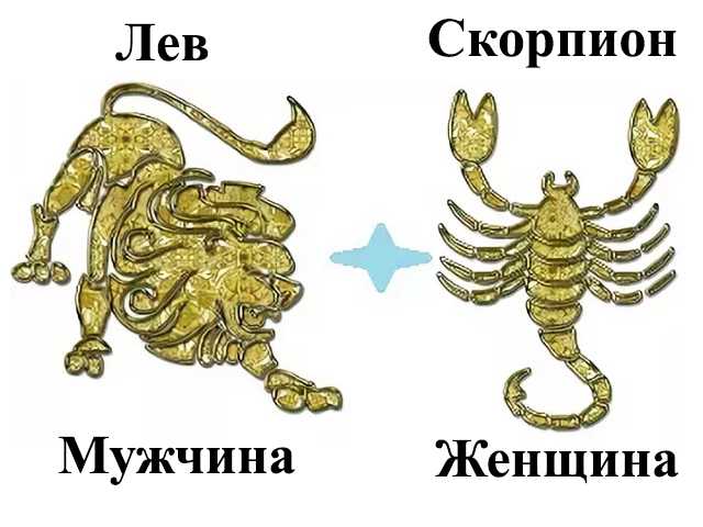 Совместимость женщины-скорпиона и мужчины-льва