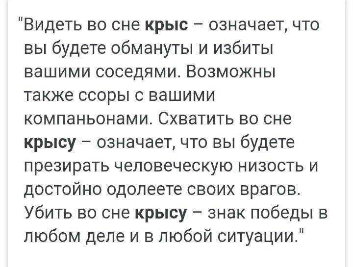 К чему снятся крысы женщинам и мужчинам