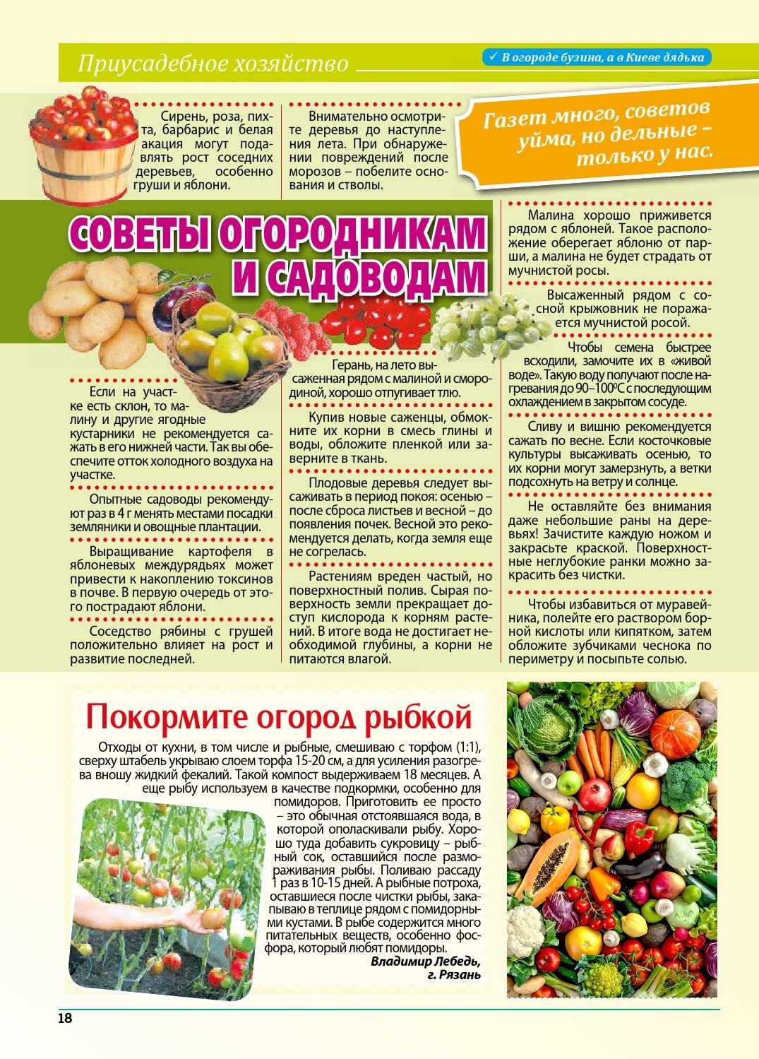 Какая фаза луны сегодня: растущая или убывающая. в какой фазе сейчас луна