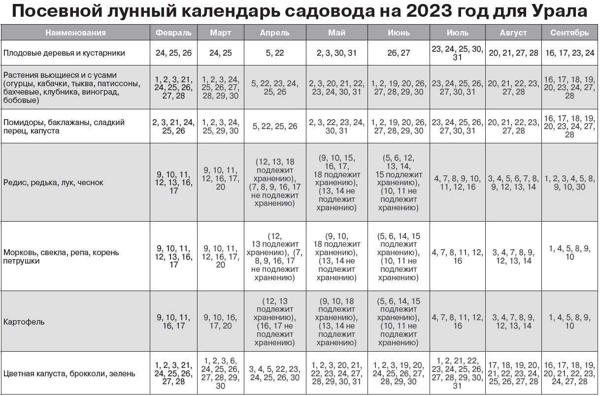 Лунный календарь на июль 2024 года: фазы, лунные дни, благоприятные дни