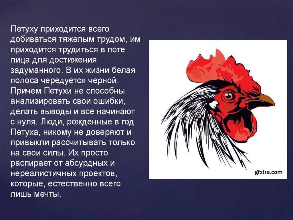 Китайский гороскоп животных: символы года по порядку