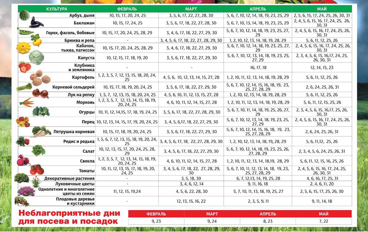 Лунный календарь 2024