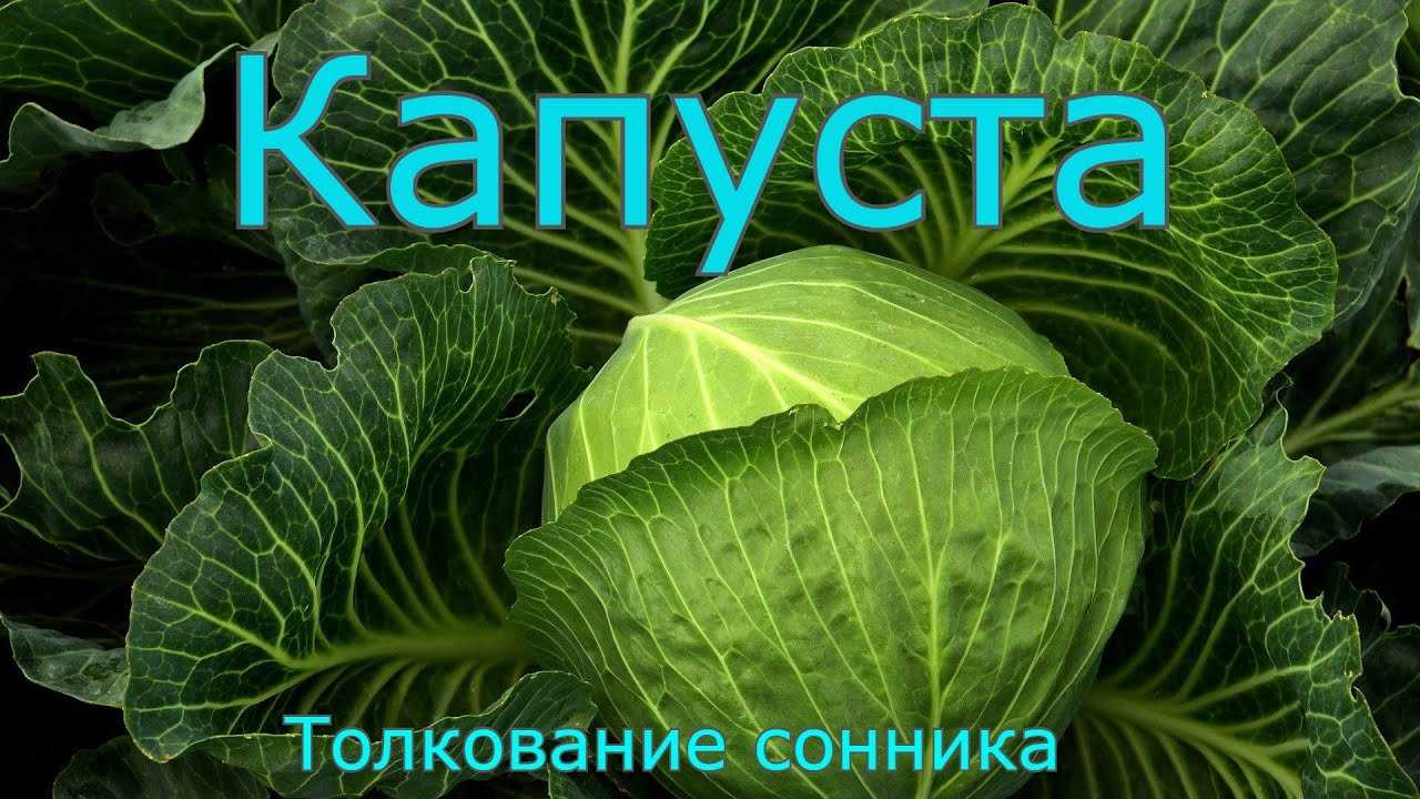 Сонник отрезать себе кусок тела | сонник