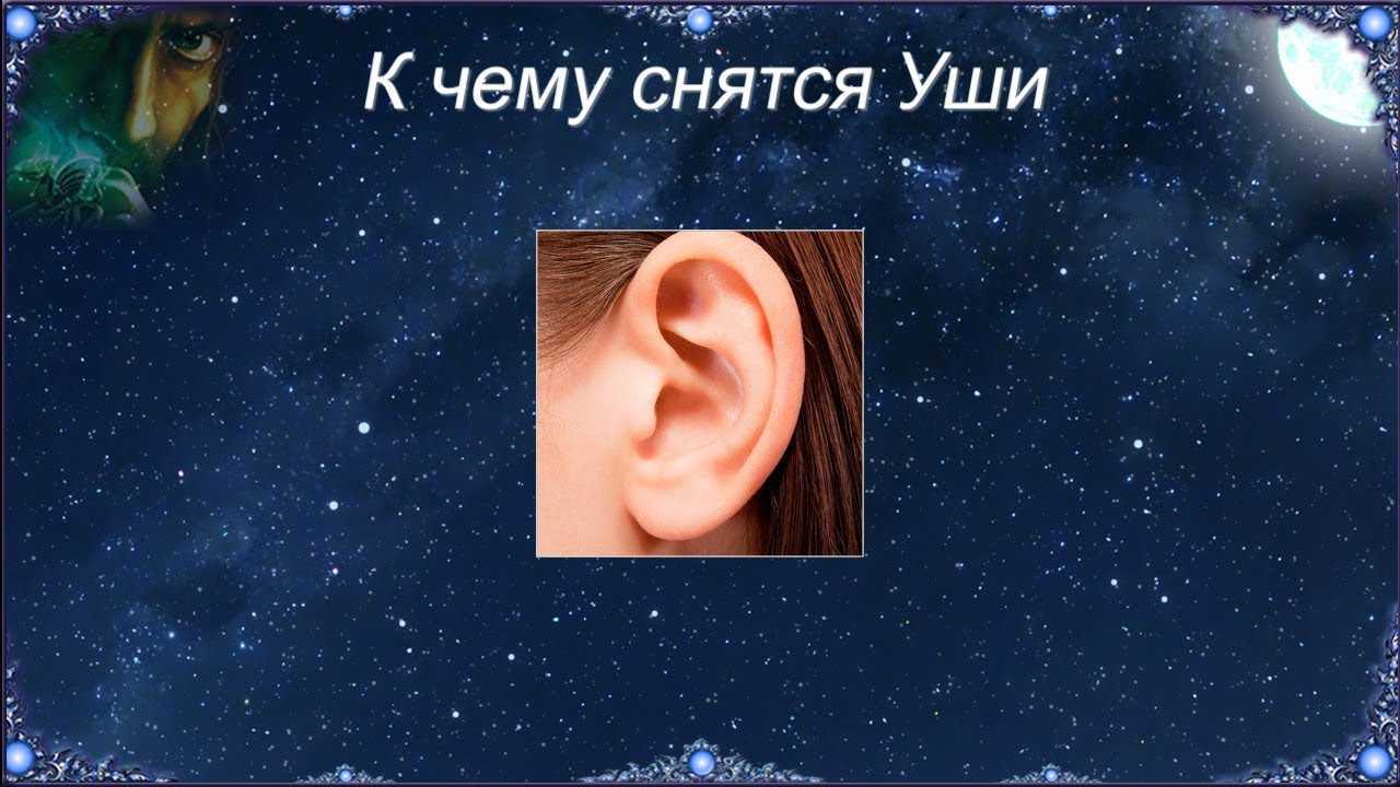 Сонник Грязные уши у другого человека приснилось, к чему снится во сне Грязные уши у другого человека Для выбора толкования сна введите ключевое слово из