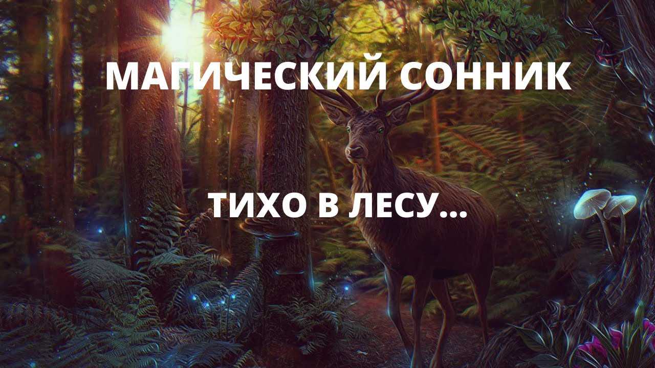 Сонник: если приснилось волшебство