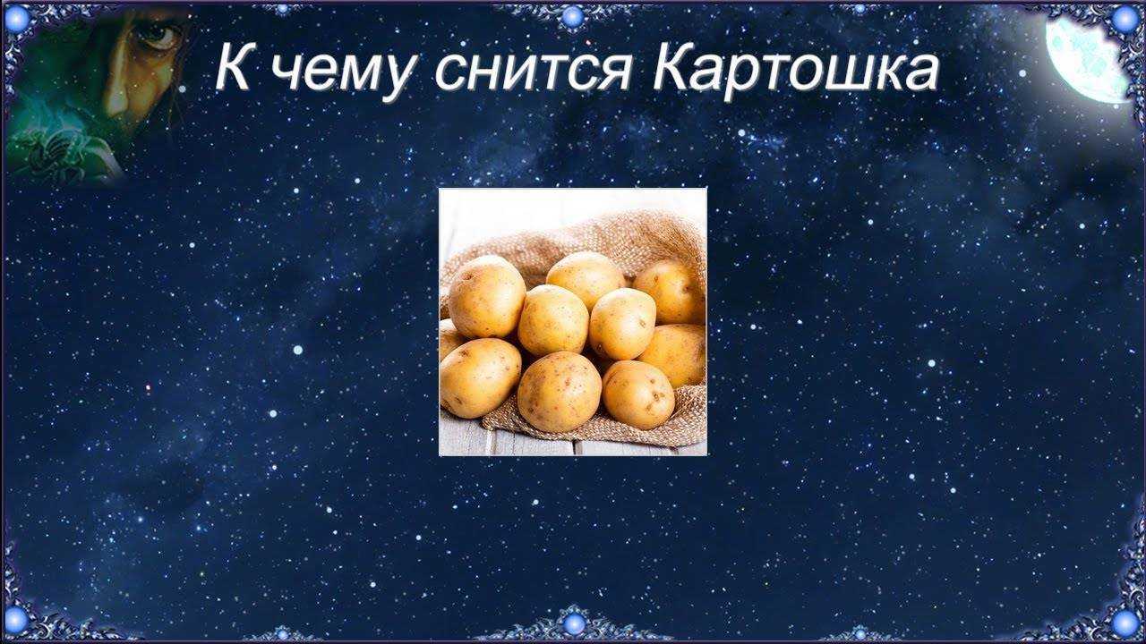 К чему снится копать землю во сне 😴, сонник — приснилось рыть землю лопатой