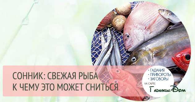 К чему снится  сеть во сне — по 90 сонникам! если видишь во сне сеть что значит?