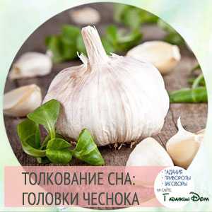 Сонник чеснок | гороскопы 365