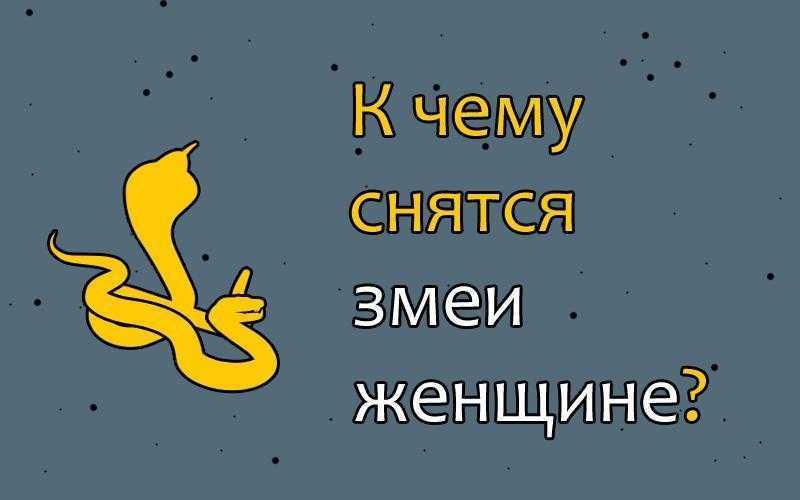 К чему снится нападающая змея? толкование по 47 сонникам