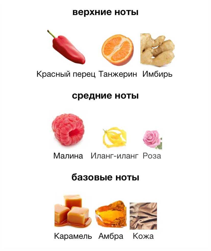 К чему снится корень имбиря по соннику? видеть во сне имбирь – толкование снов.