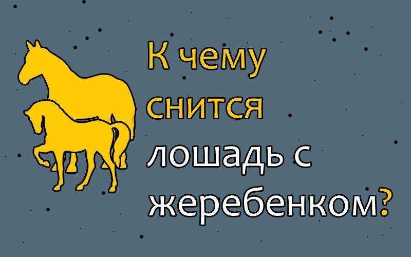 К чему снится лошадь: женщине, белая и др?
