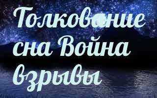 Сонник снежный барс ласкается. сонник барс