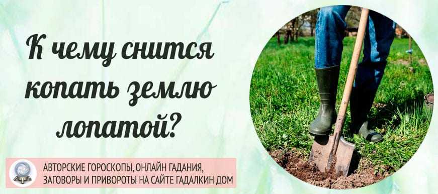 К чему снится копать землю лопатой в огороде 💤: 41 толкование сна ❗ по различным сонникам, перекапывать почву для посадки или видеть как копают грядки